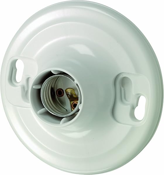 Leviton Medium Base One-Piece White Urea Outlet Box Mount Incandescent Lampholder, Keyless, Single Circuit, Top Wired, 8829-CW4, White - 1