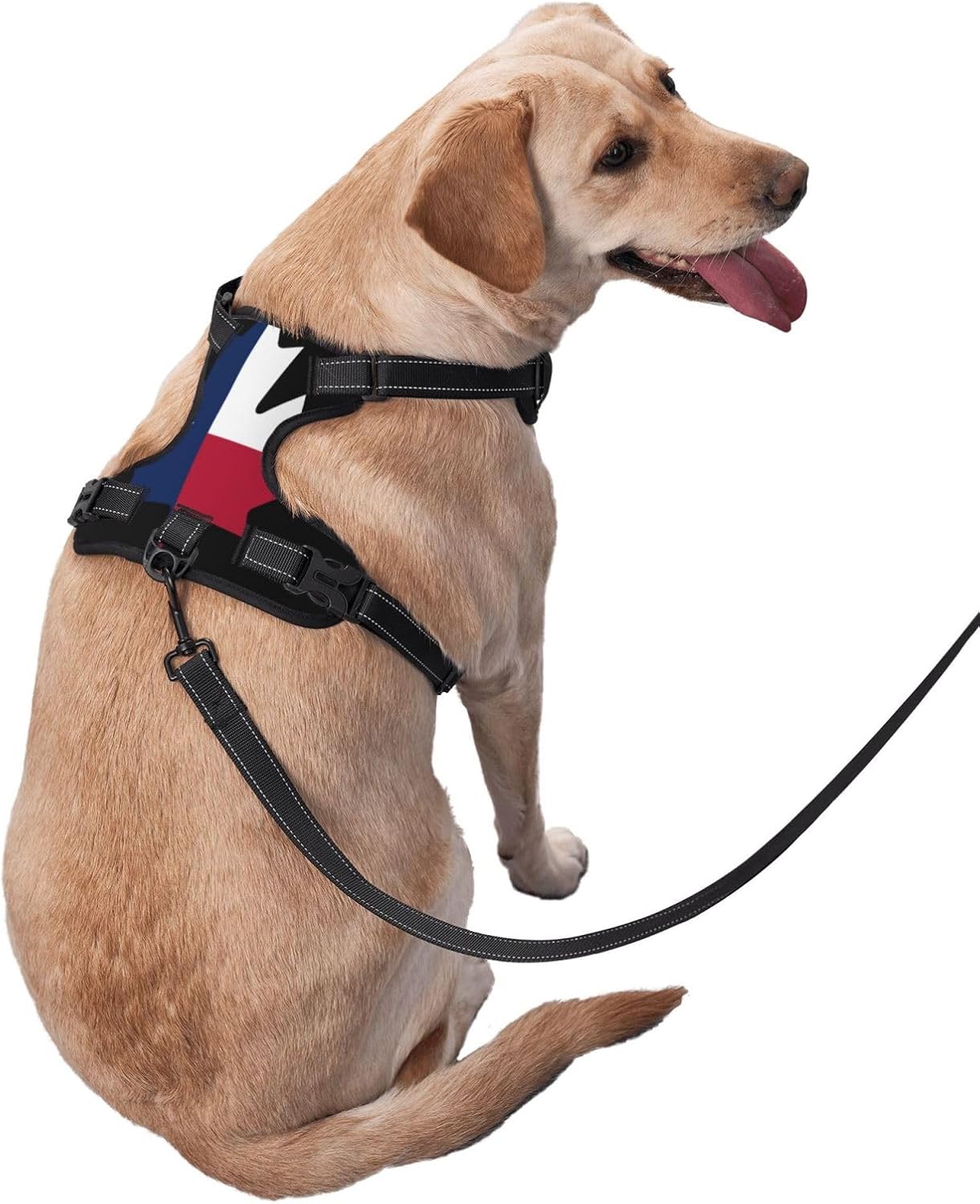 Maple Leaf Grey No Pull Dog Vest Harness for Small Medium Large Dog Puppy Pets Cats Outdoor Walking