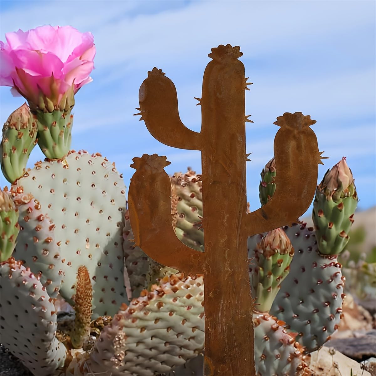 Tuteur décoratif de Jardin en métal rouillé, Cactus en Fer, Couleur Rouille, idéal pour la décoration et l'ornement.