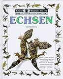 echsenmann österreich  Echsen