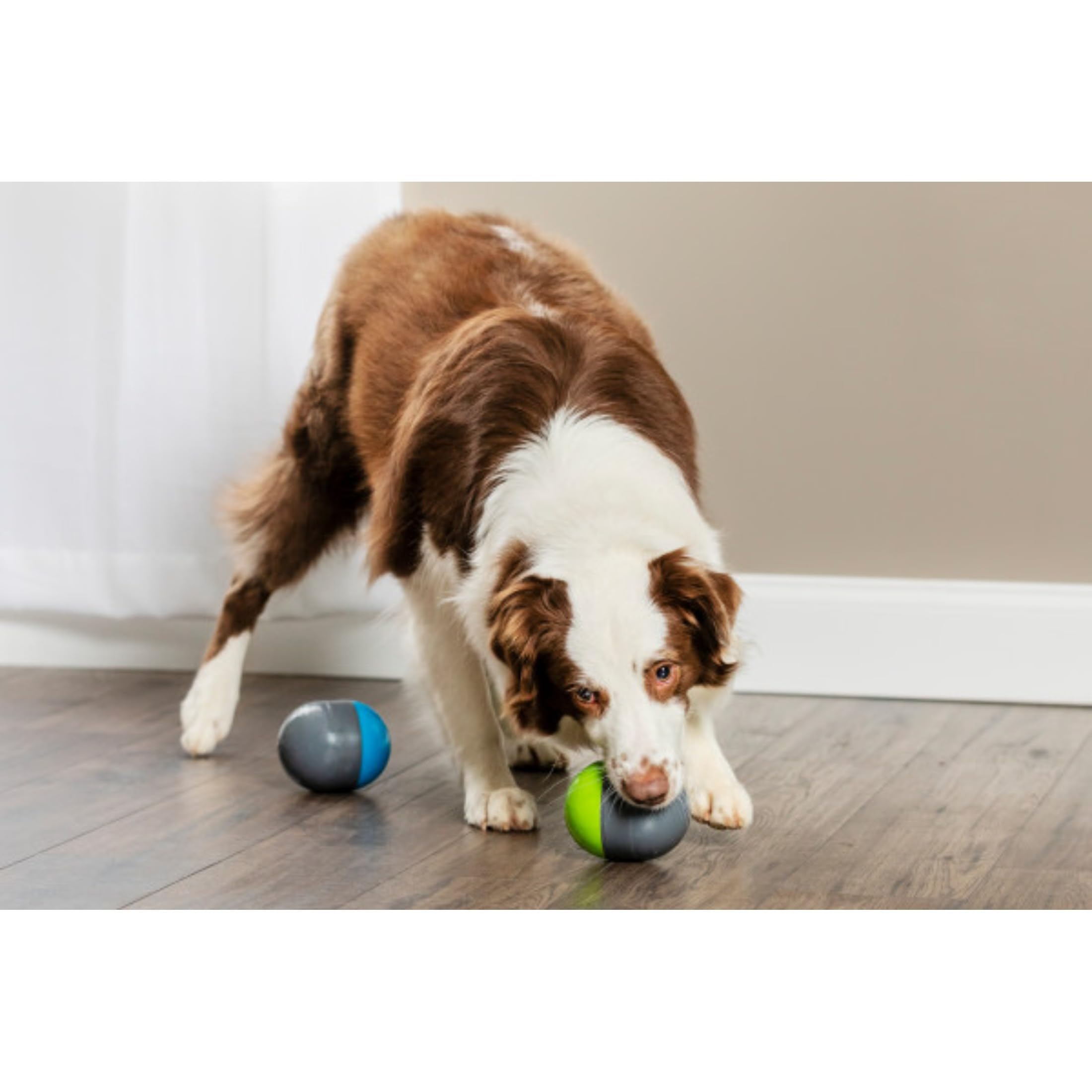 PetSafe Ricochet - Juguete Interactivo Electrónico para Perros, 2 Bolas, Juego de Sonido, Estimulación Mental, Funciona con Batería