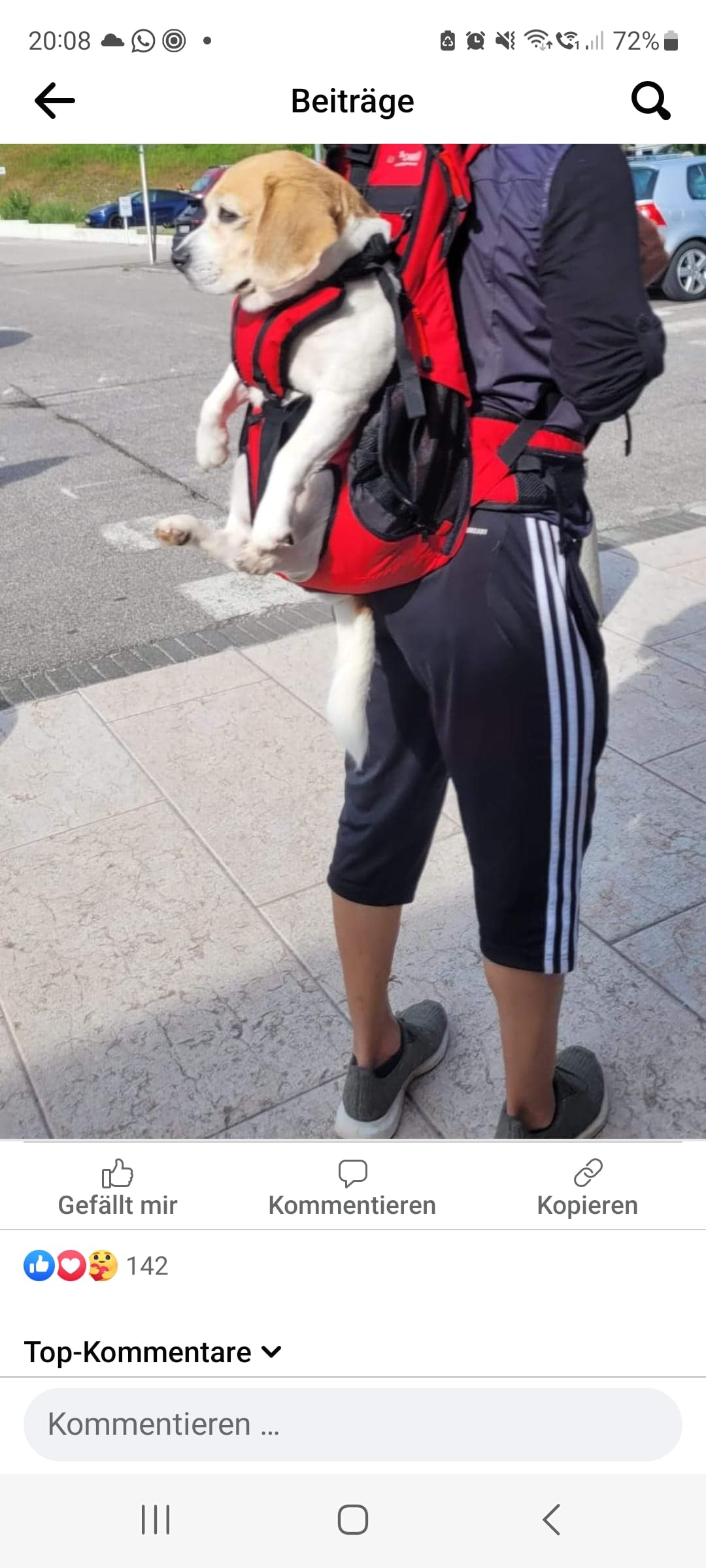Dog Carrier - Zaino per cani da 9 a 18 kg
