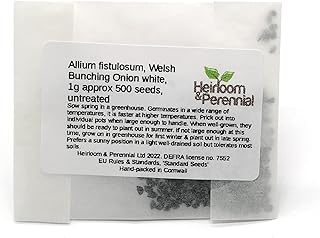 Allium fistulosum, Welsh Bunching Onion White, 1g Approx 500 Seeds, untreated