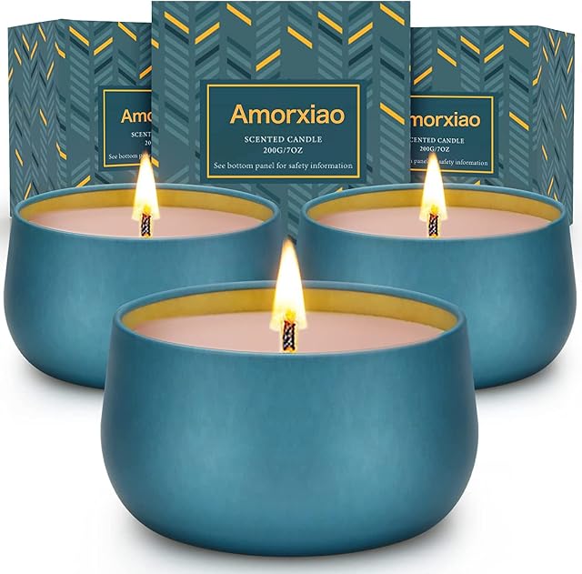 3 Pack Scented Candles Gifts Set, Highly Scented Candles for Home, 7 oz 40 Hour Burn Soy Aromatherapy Candle, Long Lasting Holiday Candles with Gift Box - Blue