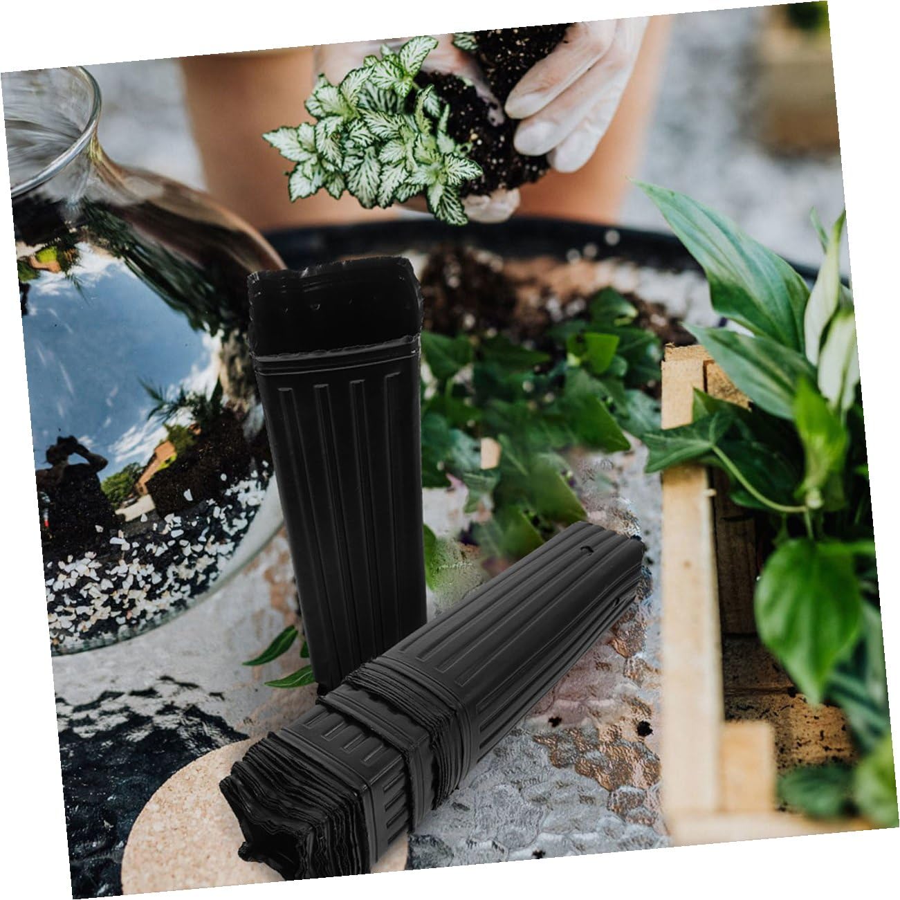 OSALADI Lot de 60 Pots de Culture Noirs en Plastique Épais 10x30 Cm pour Semis et Pépinière, Gobelets Profonds pour Jardin et Plantation D’Agrumes, Pot Respirant Favorisant Un