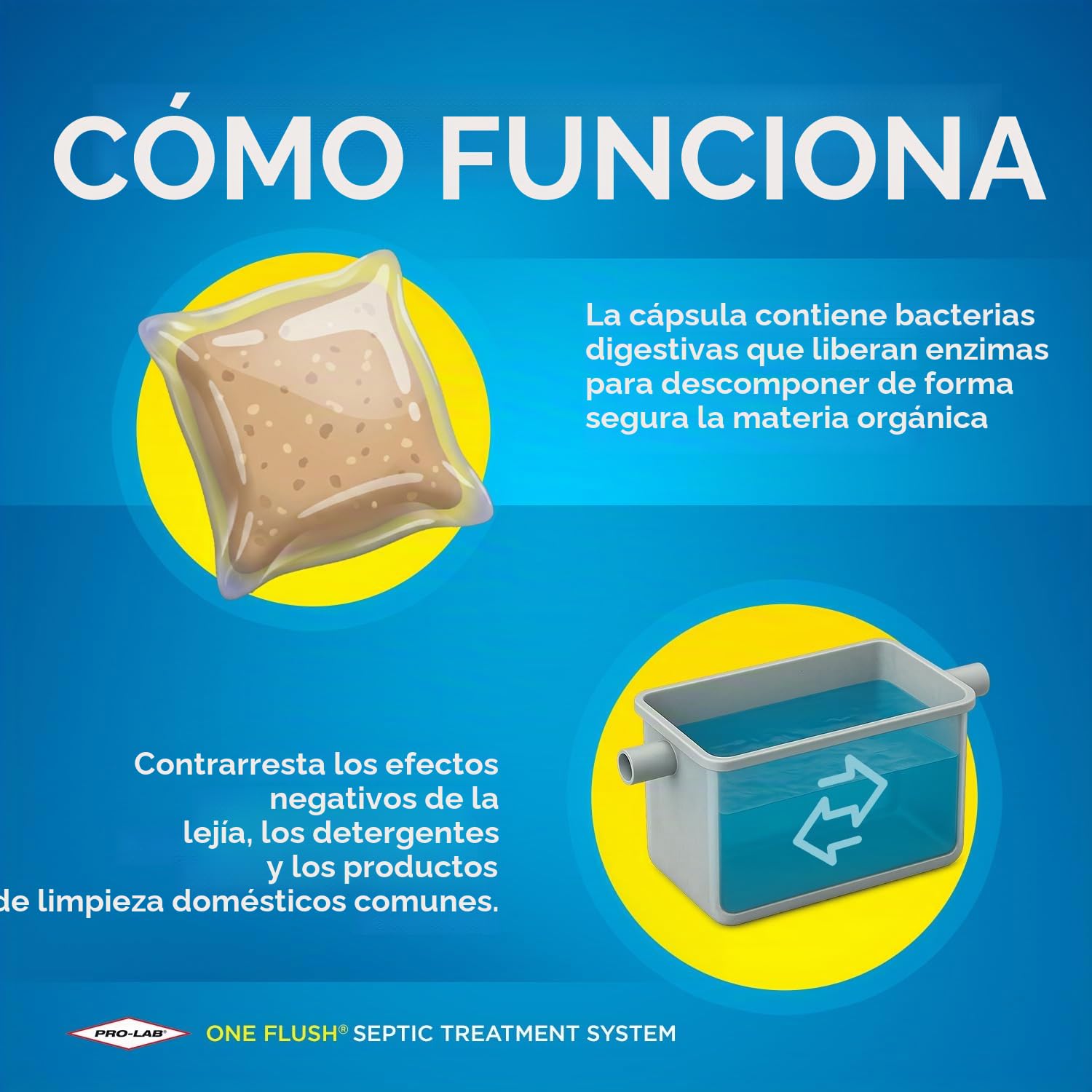Tratamiento de tanque séptico – 1 año de suministro de tratamiento séptico – Paquetes de tratamiento de tanque séptico soluble – Utiliza paquetes de enzimas de tratamiento séptico mensualmente para