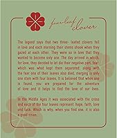 Vista 7 de TAMI Collar de plata con flor prensada (4 Leaf Clover)