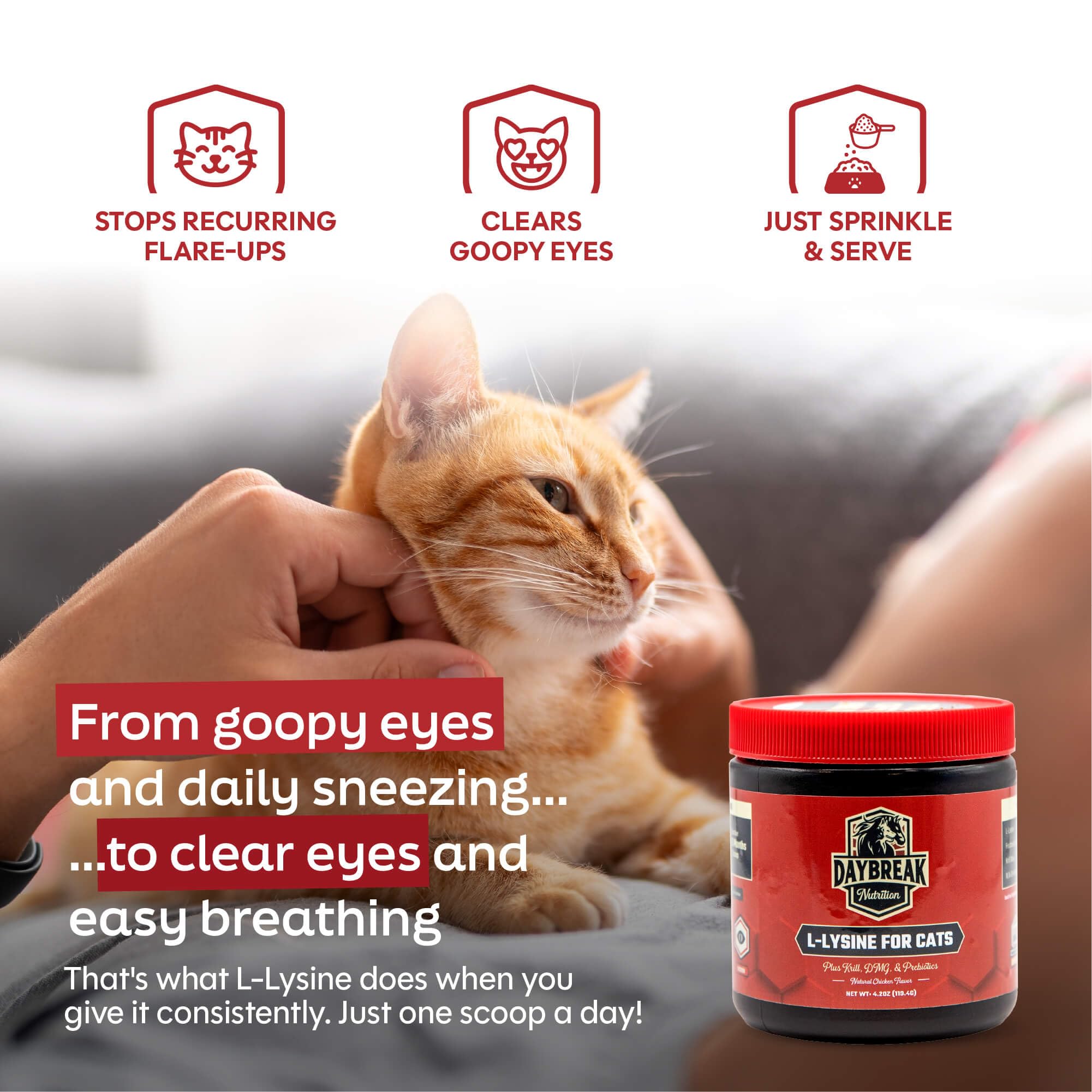 L-Lysine for Cats and Kittens, 900 mg Powder — Amazon image 5