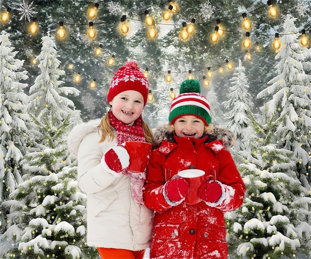 Winter Backdrop 12x10ft Wooden Fence Snowflakes Snowy Forest Winter Wonderland Photo Backdrop Christmas Photography Background Xmas Photo Props New Years Navidad Holiday Decorations
