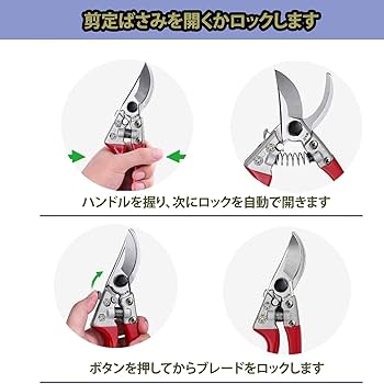 剪定鋏 アソート アルスコーポレーション アンビル剪定鋏 VA-7Z | チャーム