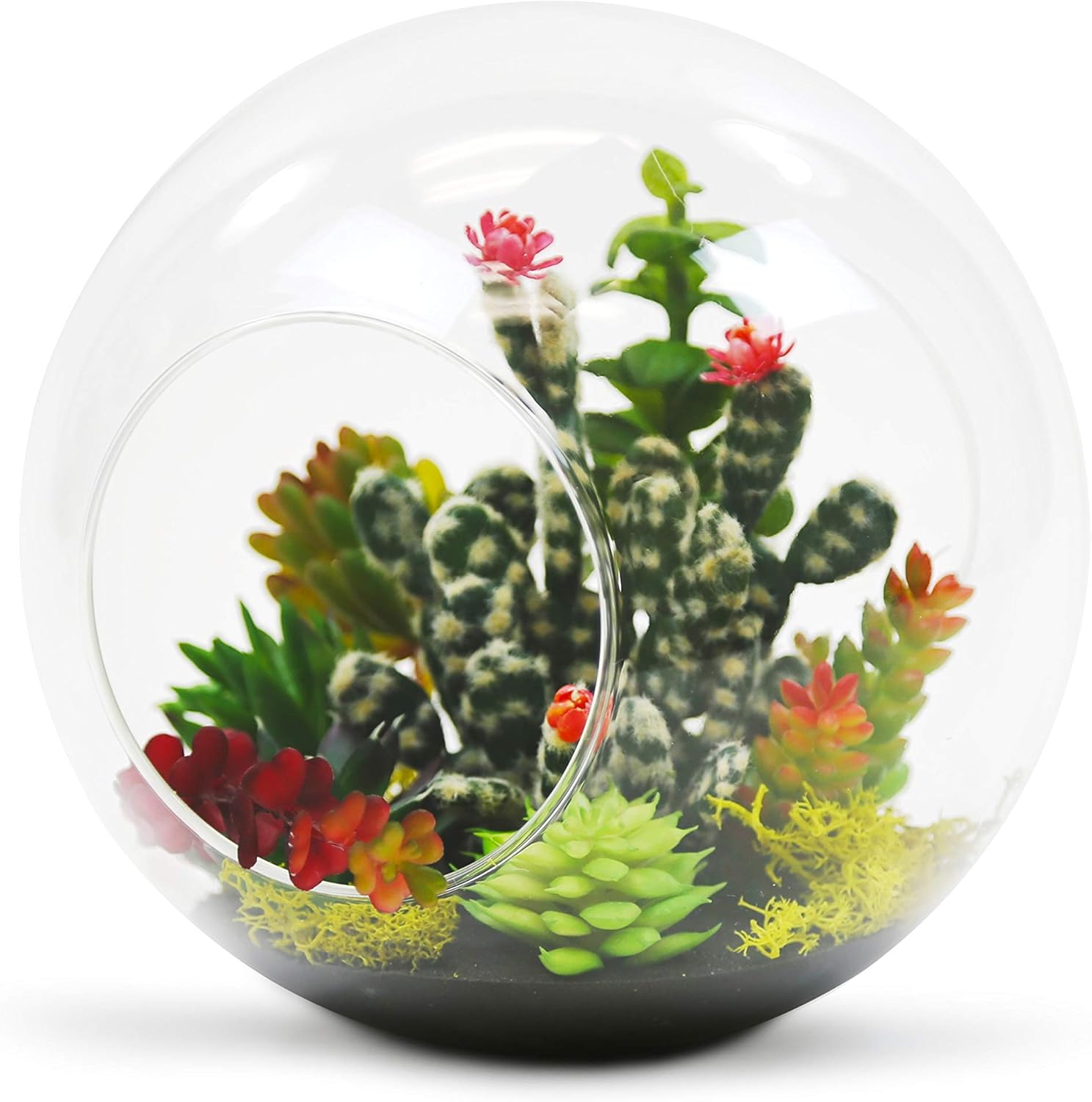 WGV Planter Terrarium, Width 8" Height 8", Clear Round Glass Vase Container with Two Side Opening, DIY Air Planter, Votive Candle Holder for Decor, 1 Piece : Patio, Lawn & Garden