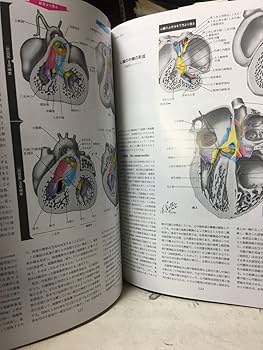 ネッター 医学図譜集 消化器編（III）【医学書 専門書 解剖学】丸善 人体解剖学図譜集」 解剖学図鑑 医学チャート : 人体百科ヤフー