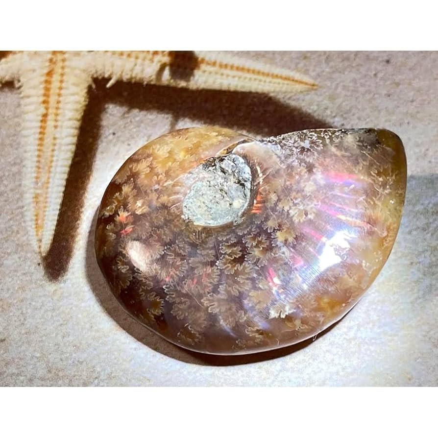 縫合線 327g アンモナイト 化石 オパール アンモライト 原石 宝石 鑑賞石 縫合線 327g アンモナイト 化石 オパール アンモライト 原石