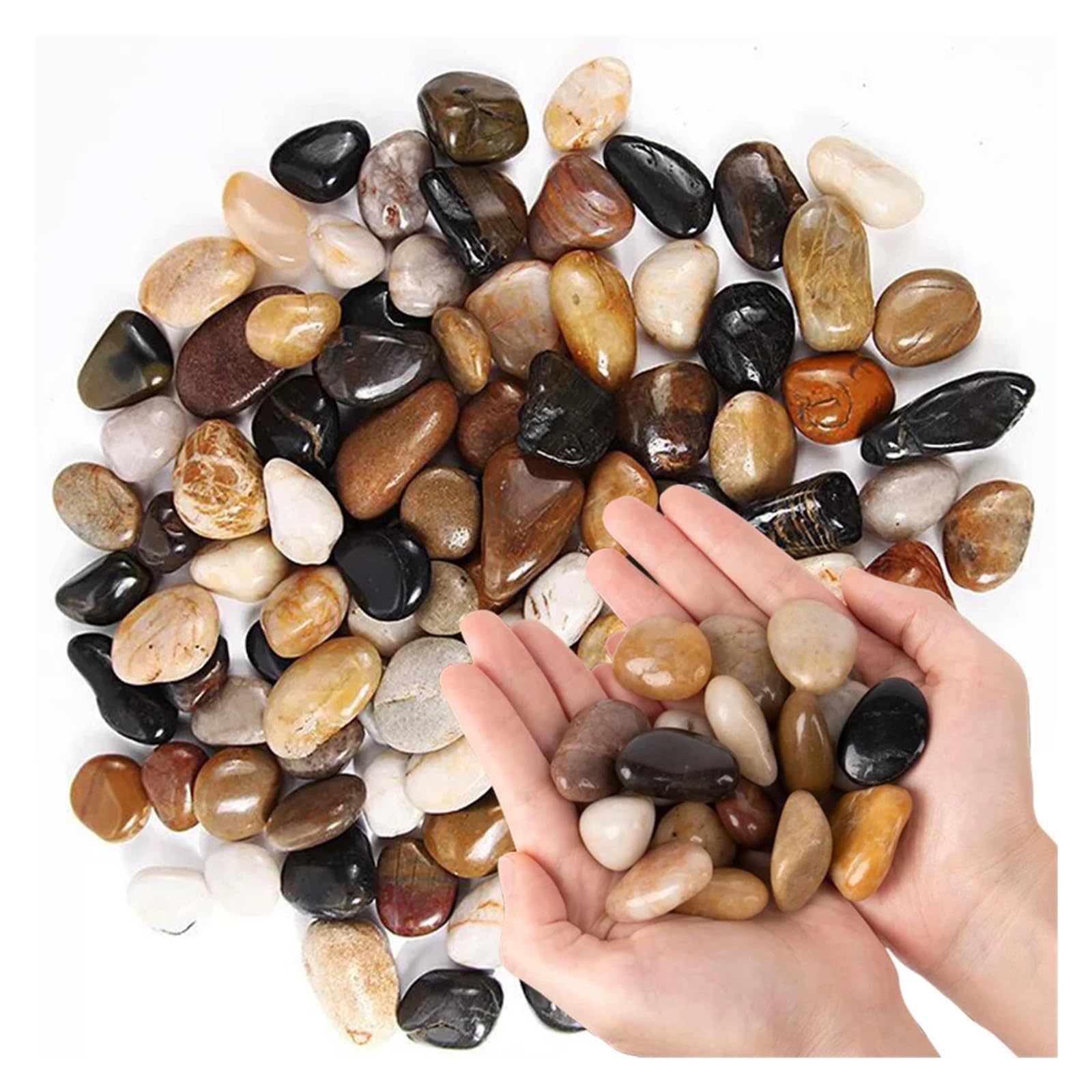 Genérico Piedras pulidas Coloridas 3-7cm for acuarios y macetas de Plantas
