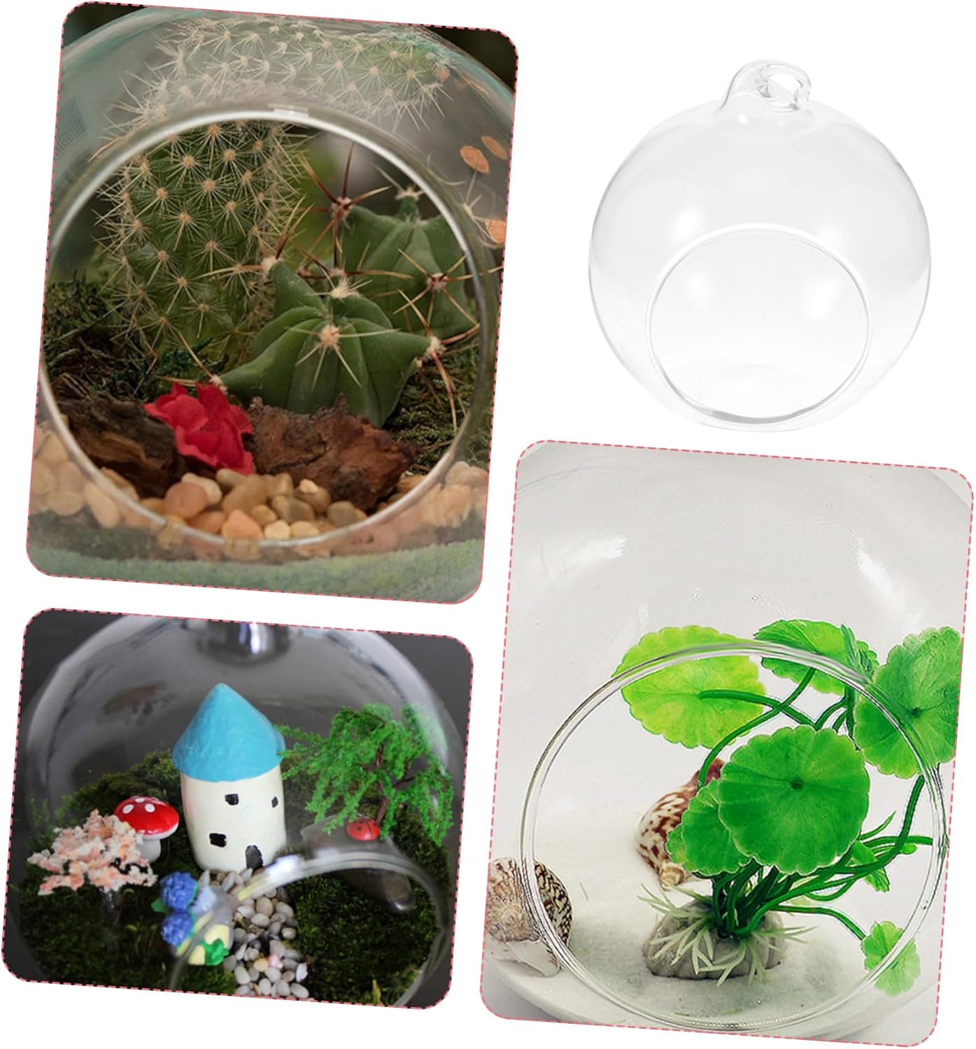 12Pcs Glass Globe Terrarium Elegant Micro Landscape Planters for Succulents and Air Plants Decor for Living Room Office Balcony Base