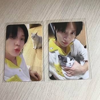 Amazon.co.jp: SHINee テミン TAEMIN クン デン トレカ 2枚セット