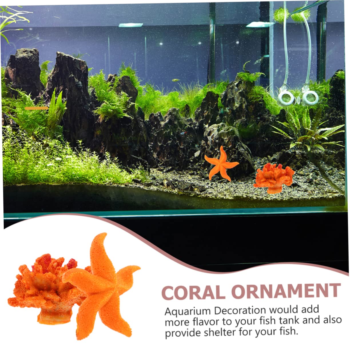 Lot De 8 Coquilles D'oursins Naturels 4-6 Cm - Décoration Vase, Aquarium, DIY, Ambiance Bord De Mer