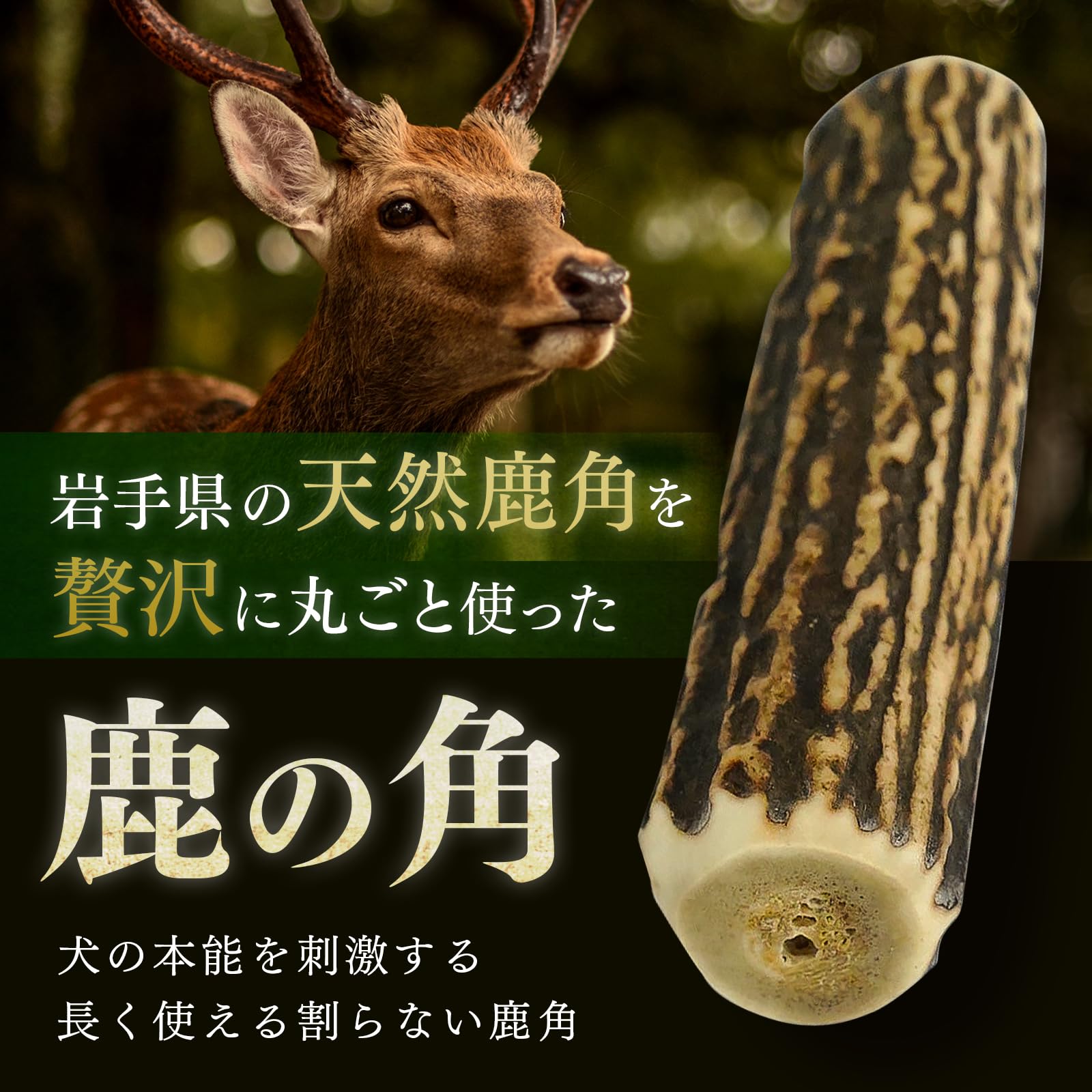 天然鹿の角5対(10本)セット No.7 天然鹿の角5対(10本)セット No.7 天然鹿の角5