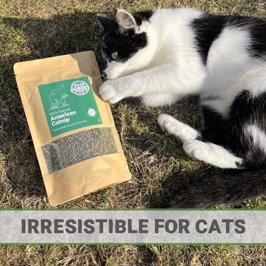 Pets Purest 100% Natural American Catnip 35g - Strong Grain Free Plant Herb for Happy Kitten & Cat Calming Effects - Use with Cat Toys, Scratching Posts & More
