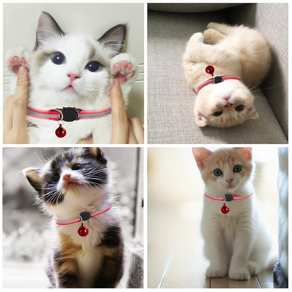 Petyoung Reflecterende Halsbanden voor Katten - Set van 12 met Snelsluiting, Verstelbaar 19-32 cm