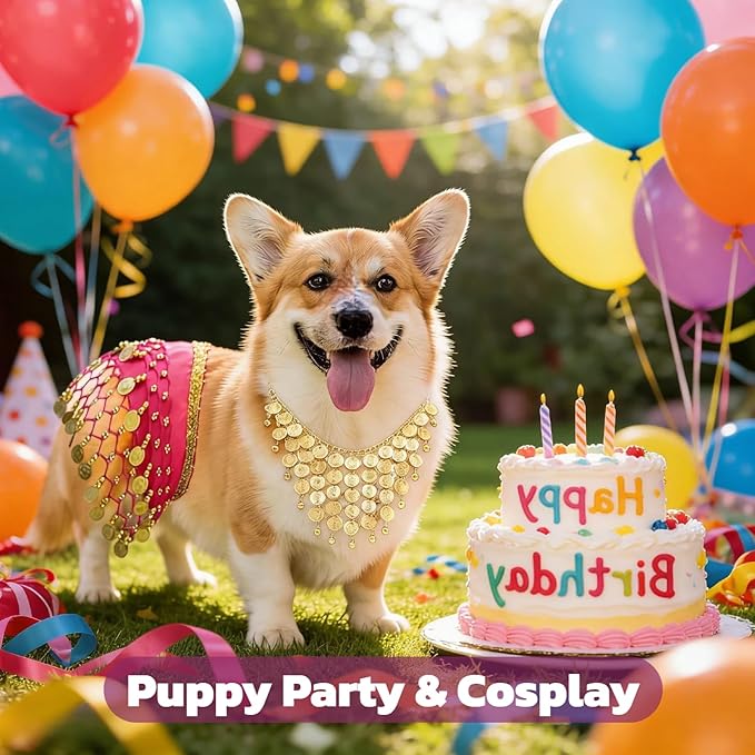 Disfraz de Bailarina del Vientre para Perros con Collar y Cadera miniatura 7