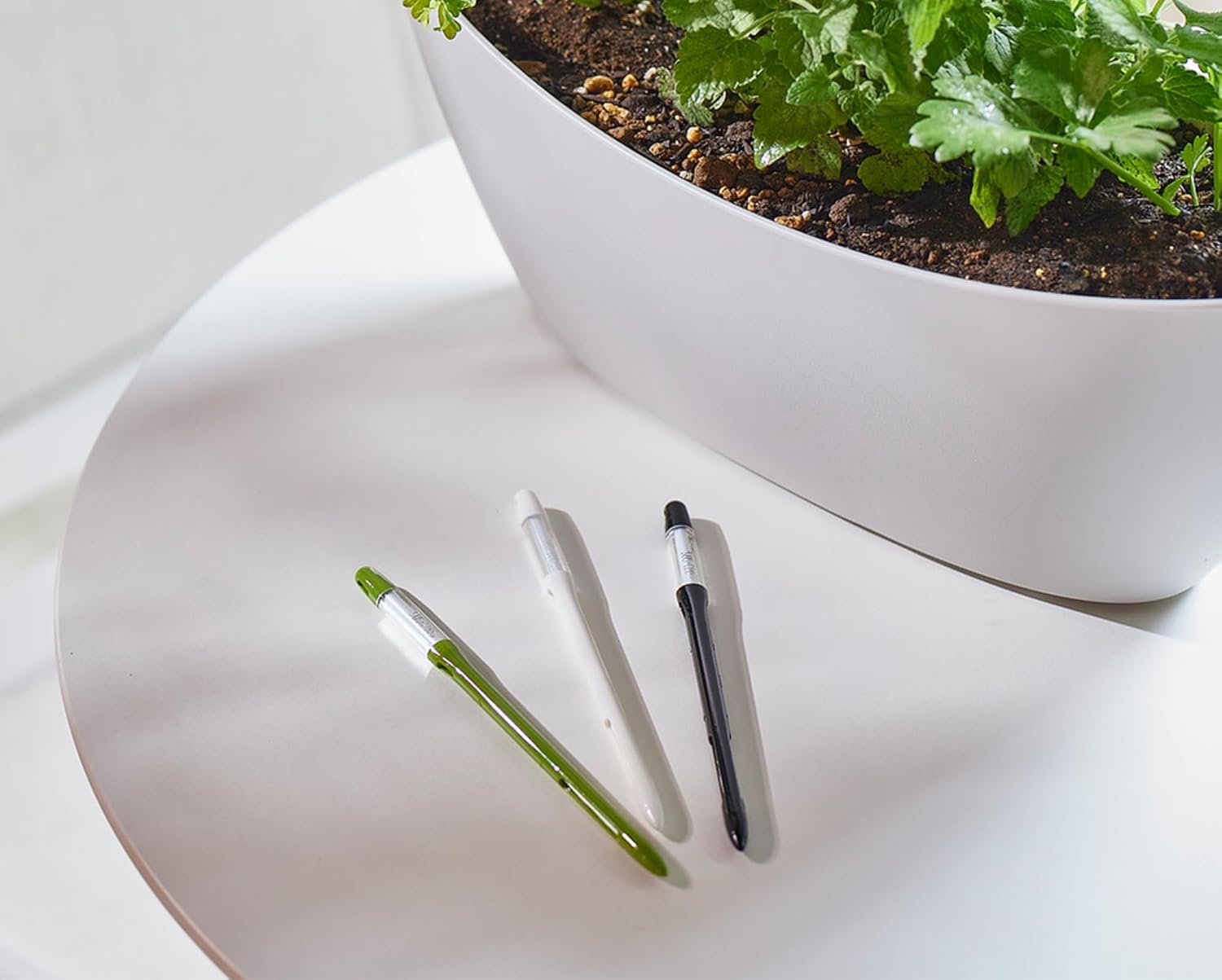 Sustee Aquameter - Medium - Black - Bundle of 5 - Leave-in Soil Moisture Meter for Potted Plants - Plant Water Sensor - Refillable