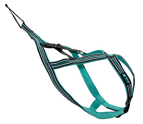CANI C GEAR, Arnés Tipo X-Back, Modelo Olympia, Color Negro/Turquesa, Ajustes en Espalda y Cuello