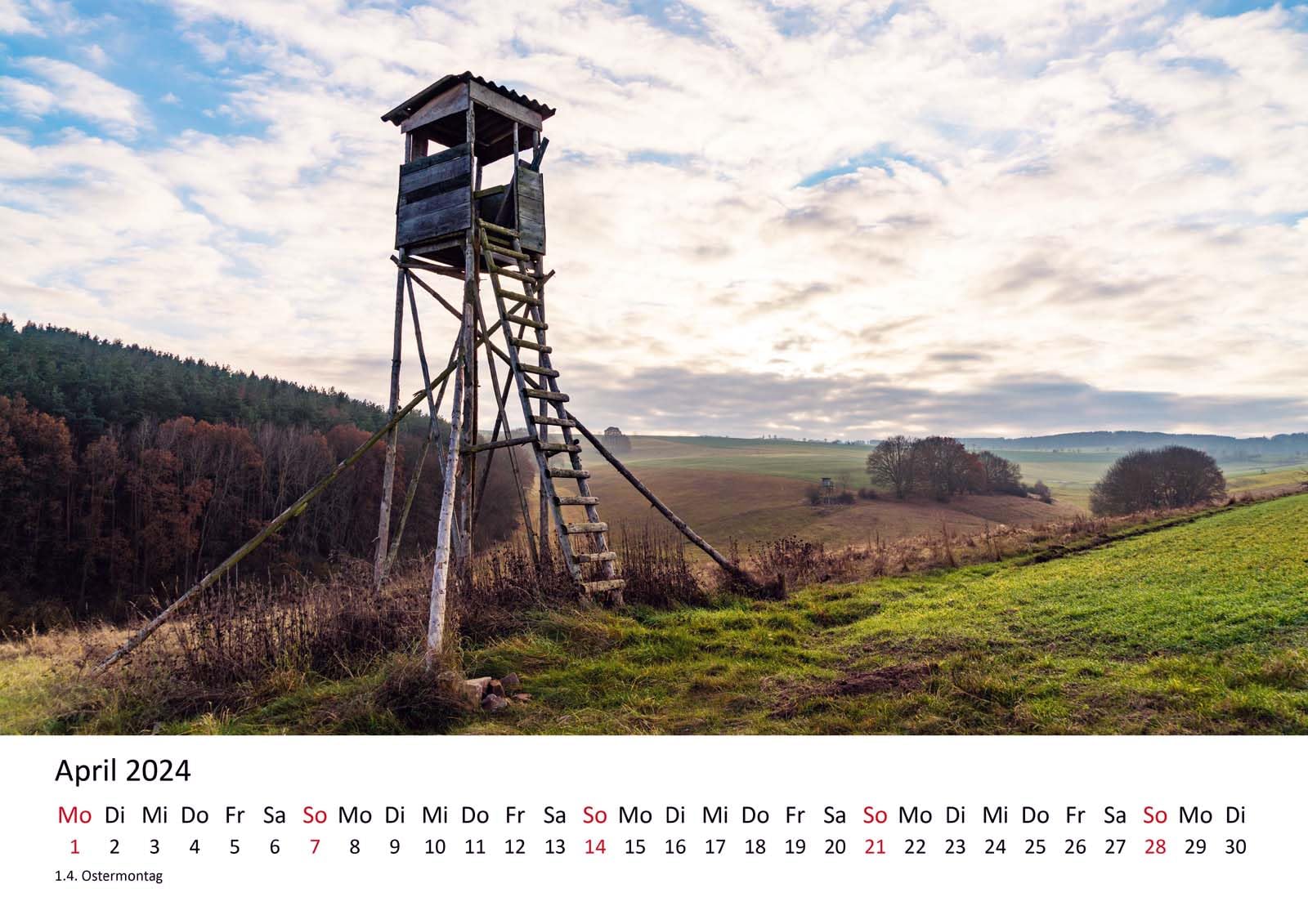 Edition Seidel Premium kalender, fascinatie, jacht & wild, 2026, DIN A3, wandkalender, natuur, dieren, vos, hert, wild zwijken, wilde dieren, bosdieren, landbouw