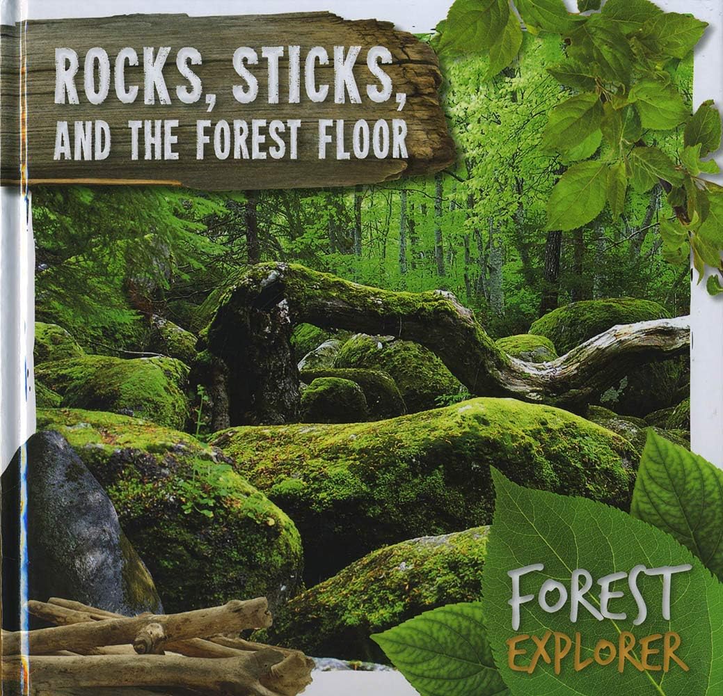 Rocks, Sticks & the Forest Floor