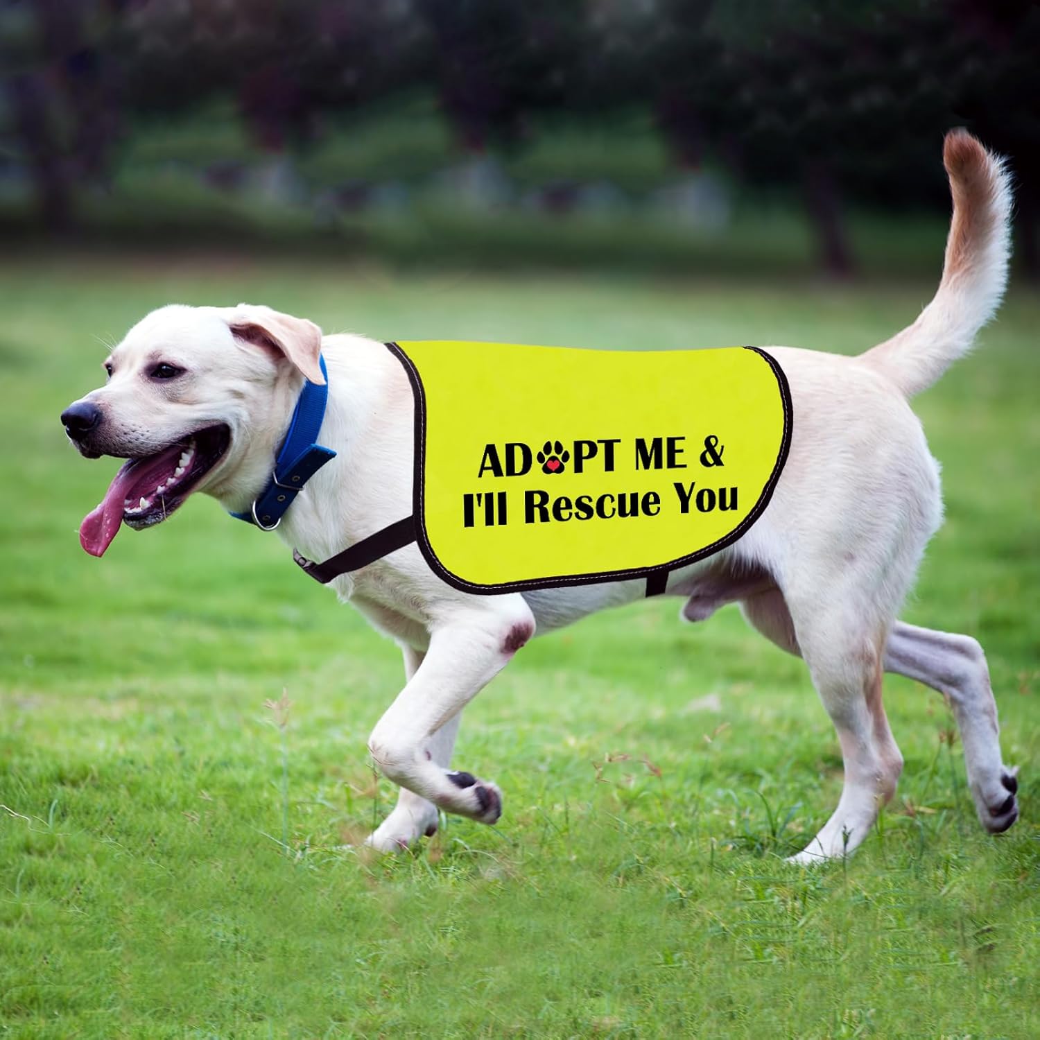 Dog Adoption Jacket Vest Adopt Me I Will Rescue You Dog Harness Rescue Pitbull Slogan Vest (I'll Rescue You-Medium) - Image 4