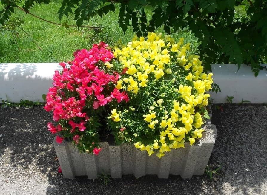 ★金魚草⑫〜⑳★ Buy Way of Wade 808 2 Ultra 'Guangdong Southern Tigers