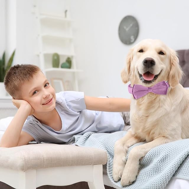 Foto 5 de 8 de KTWSUEF Collar Perro Terciopelo,con Pajarita Perro Desmontable,Ajustable Comodidades Collar Perro…