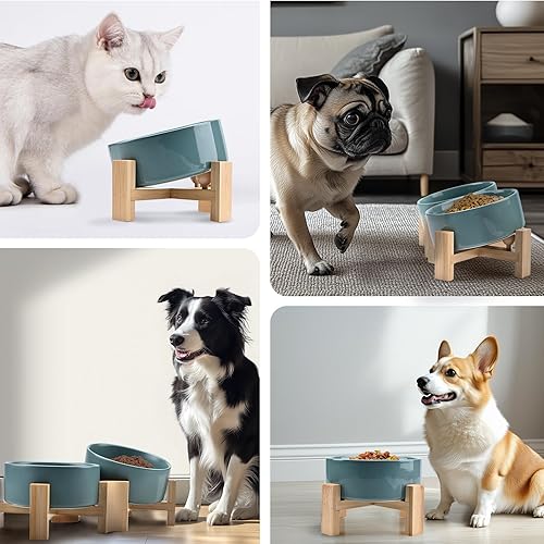 Miniatura 8 de SPUNKYJUNKY Cuenco de cerámica inclinado en 15 para perros y gatos con soporte de madera, cuenco inclinado para comida y agua para bulldog,