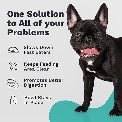 Miniatura 5 de Tazón de acero inoxidable para mascota, L