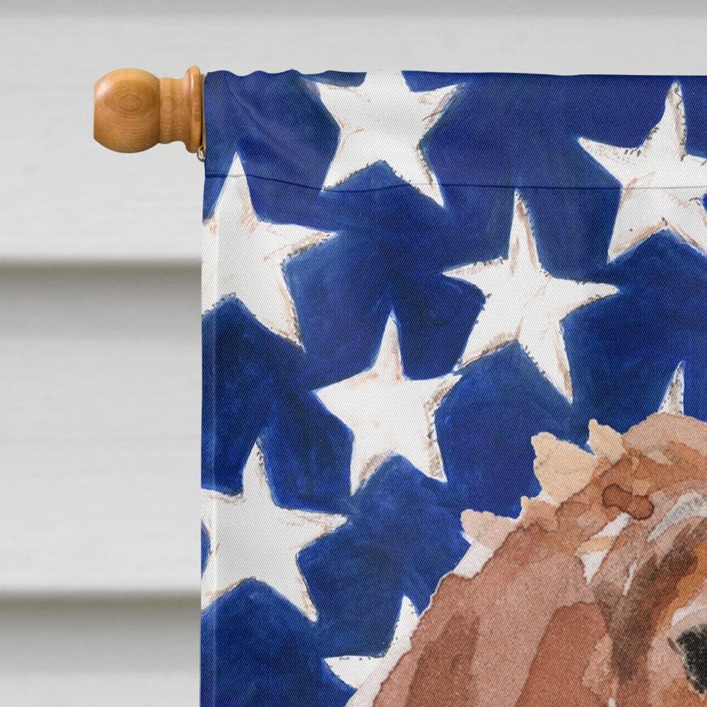 Caroline's Treasures BB9364CHF Brittany Spaniel Patriotic House Flag Large Porch Sleeve Pole Decorative Outside Yard Banner Artwork Wall Hanging, Polyester, House Size, Multicolor