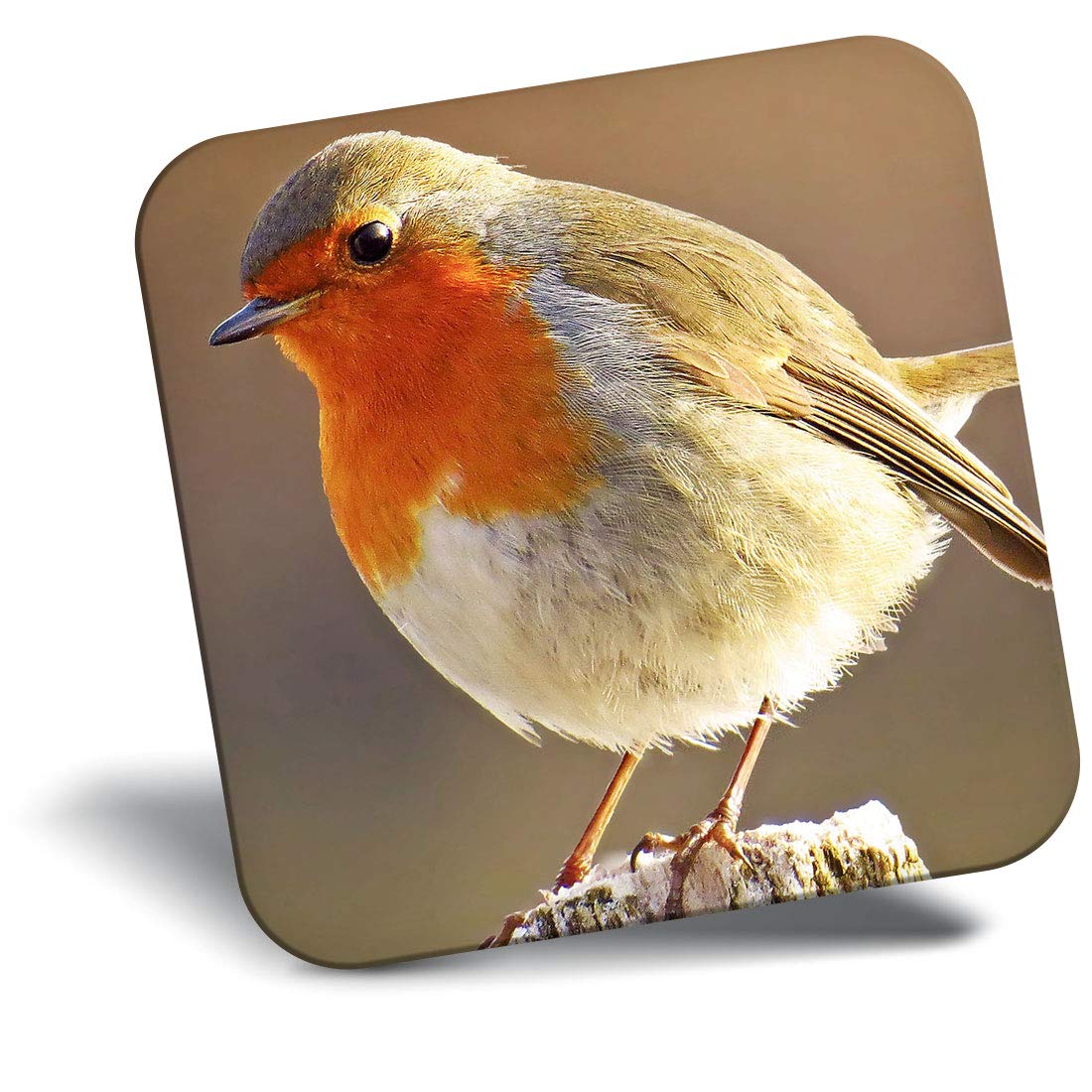 Destination Vinyl Ltd Multicolor Fridge Magnet - Robin Redbreast Bird Animals Birds 8701