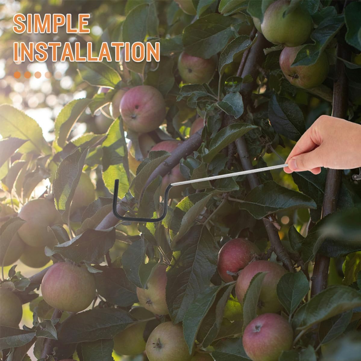 Obstbaum Zweigspreizer Schwarzer Zweig- und Astspreizer 20 Stück zur Erziehung von Obstbäumen aus Galvanisiertem Stahl im Garten und Gewerblichen Obstplantagen