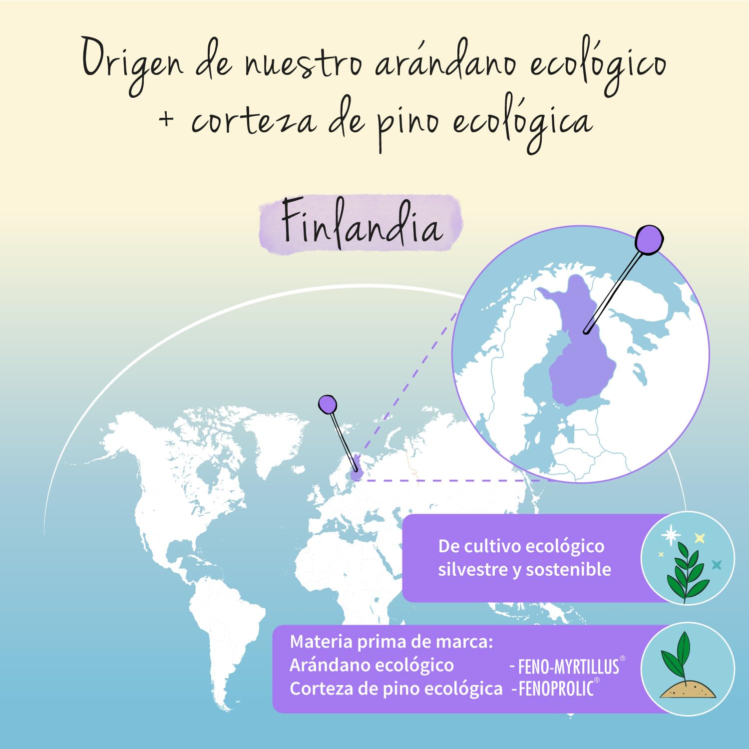 Extracto Arándanos BIO Vegavero | Bilberry 600 mg | Con Corteza de Pino & Astaxantina | Vaccinium Myrtillus | Sin Aditivos | Ojos y Vista Cansada + Antioxidante Natural | 90 Cápsulas