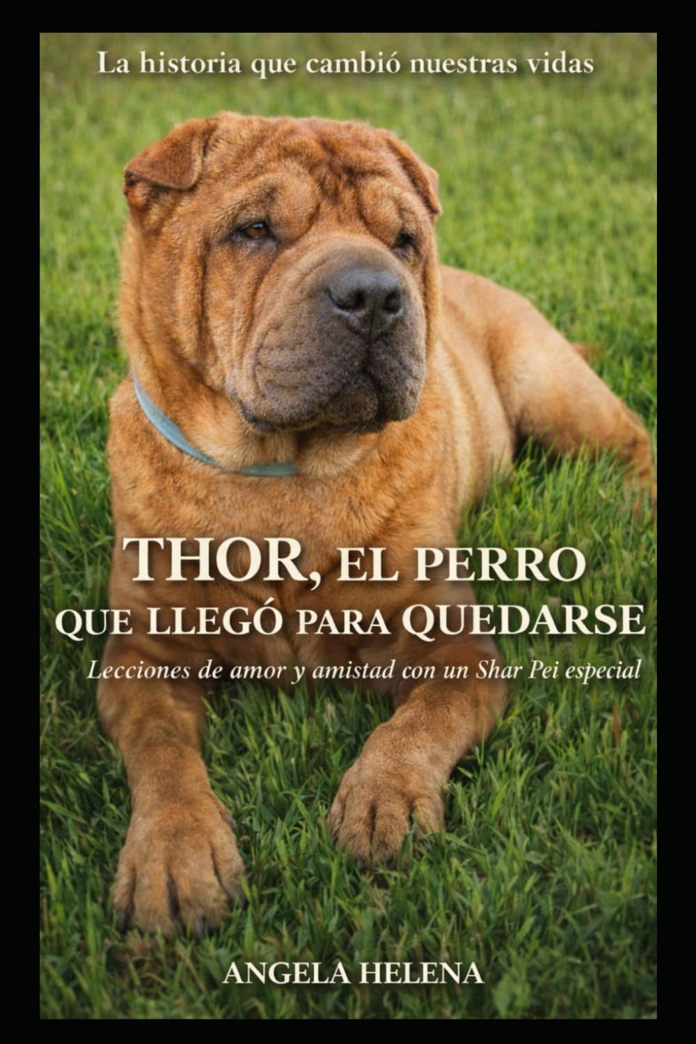 THOR: El perro que llegó para quedarse