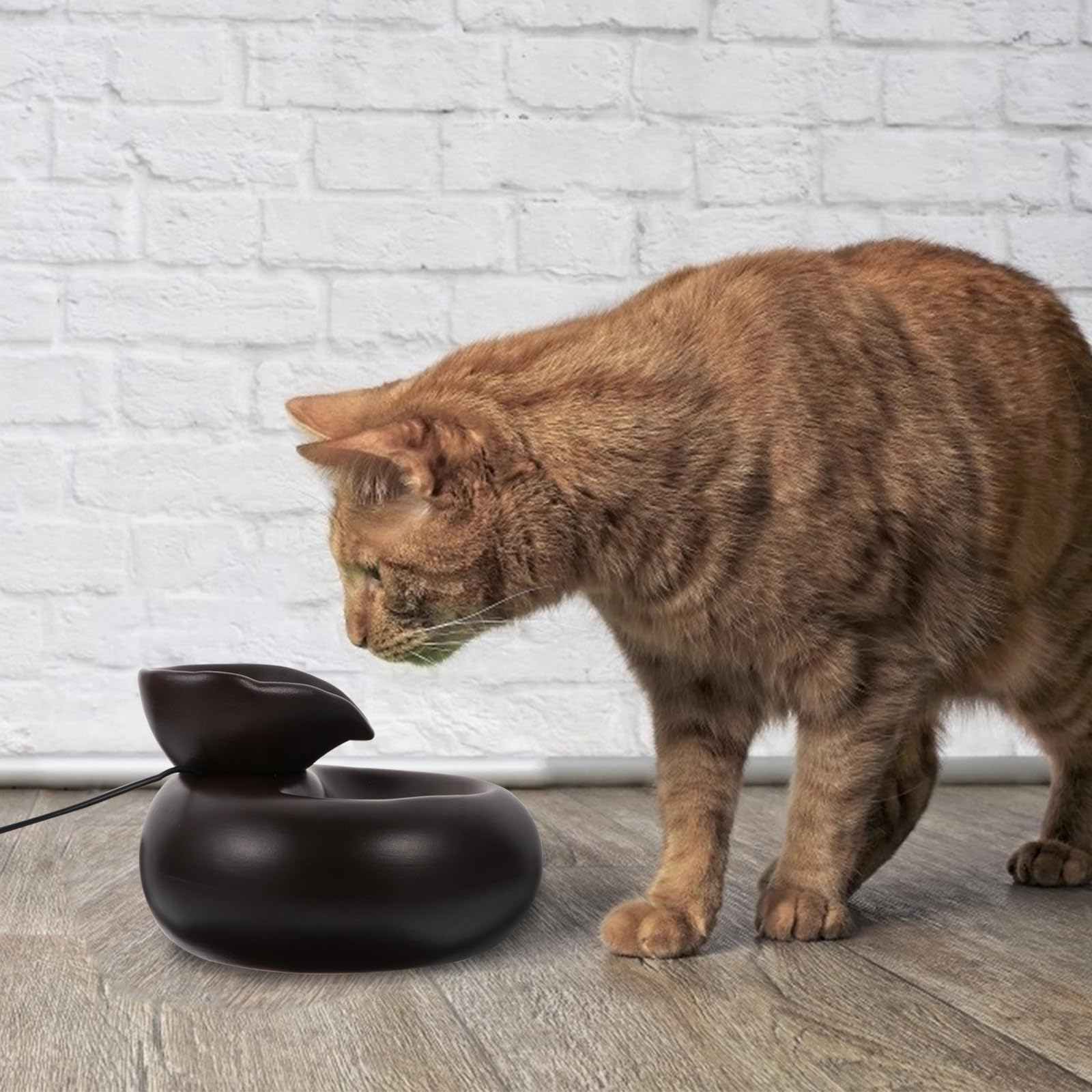 Fontanella Gatti Automatica USB Circolazione Continua, Ceramico Nero