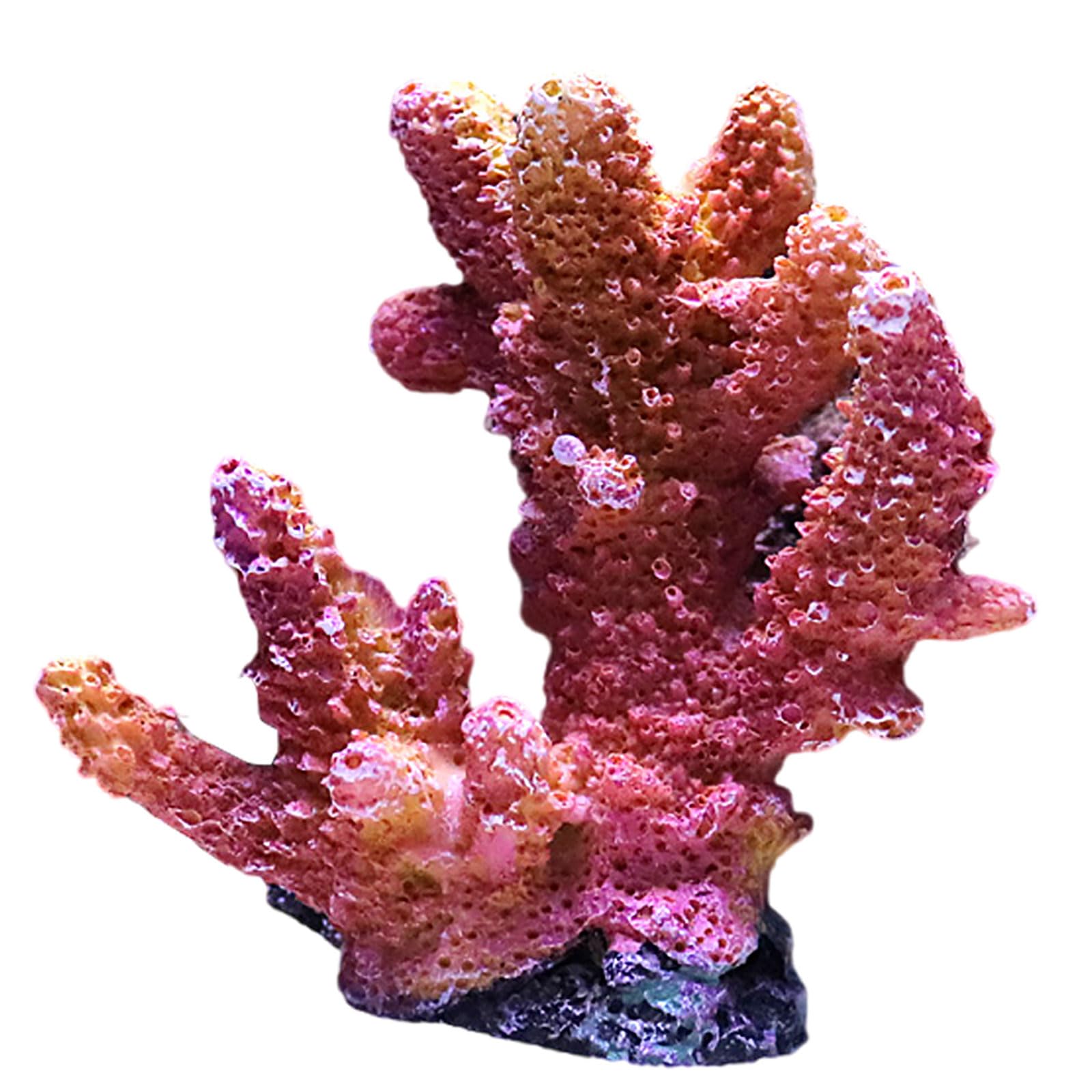 Amazon.co.jp: COYOUCO 水族館のサンゴの装飾、水槽水族館の造園