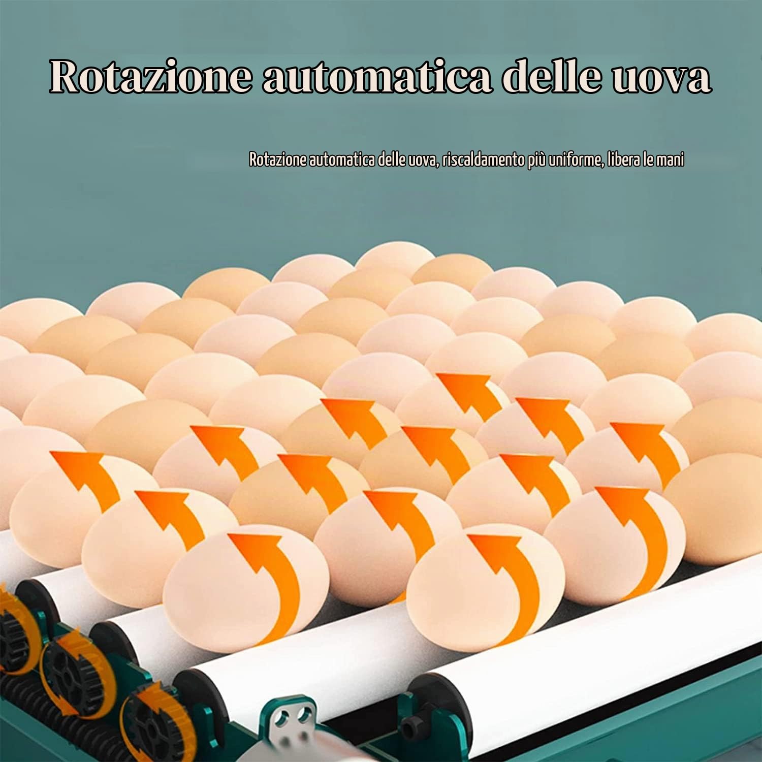 HEYOUTH Incubatrice per Uova Automatica,Incubatrice per 12 Uova,Incubatrice Uova Gallina,Turno Automatico delle uova++ Controllo Temperatura + Indicatore Umidità + Candela per uova integrata