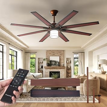 Passky Ceiling Fan with Light and Remote Control, Indoor/Outdoor Use