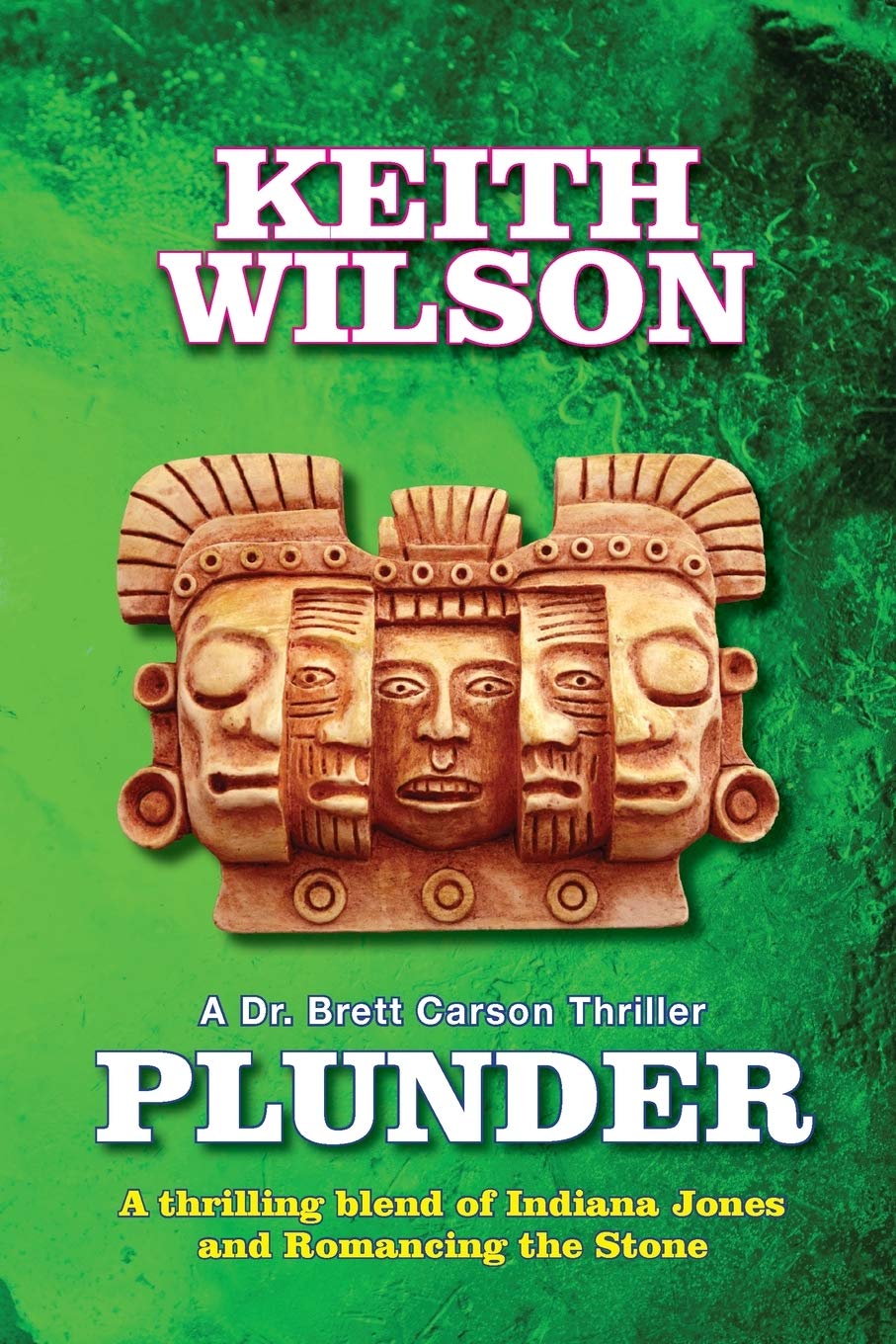 PLUNDER: A Dr. Brett Carson Thriller