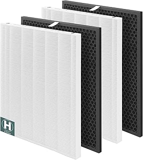 SAKEGDY 2 Sets 116130 Replacement Filter H Compatible with Winix 5500-2 Air Purifier and Model AM80, Includes 2 True HEPA Filters + 2 Activated Carbon Filters, Compare to Part# 116130