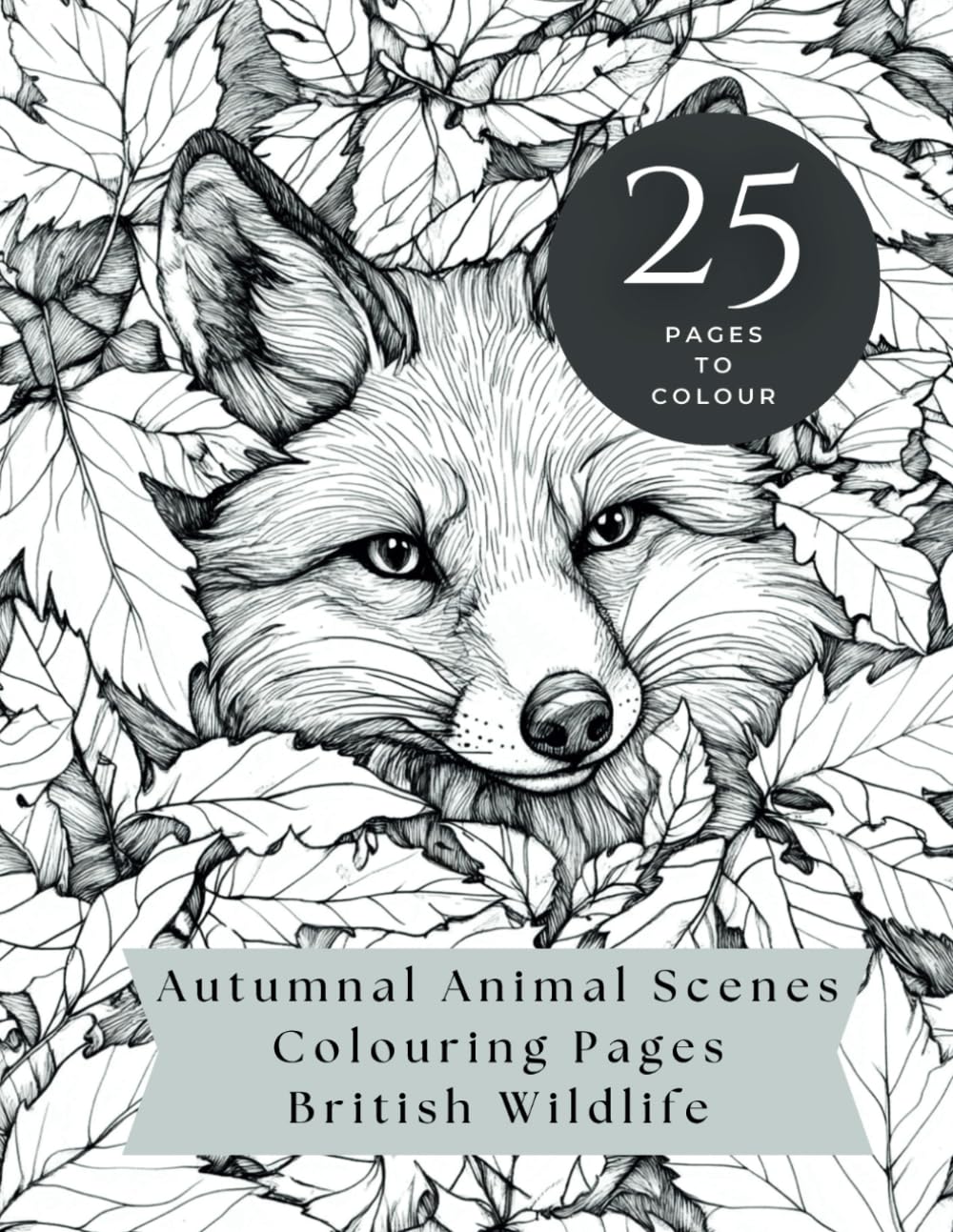 Autumnal Animal Scenes Colouring Pages British Wildlife