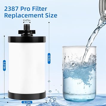 Water Filter Replacement, 2387 Pro Filter Replacement 5000 Gallon Throughput Capacity Compatible with Alexapure Water Filtration System – 1 Filter Pack, Black