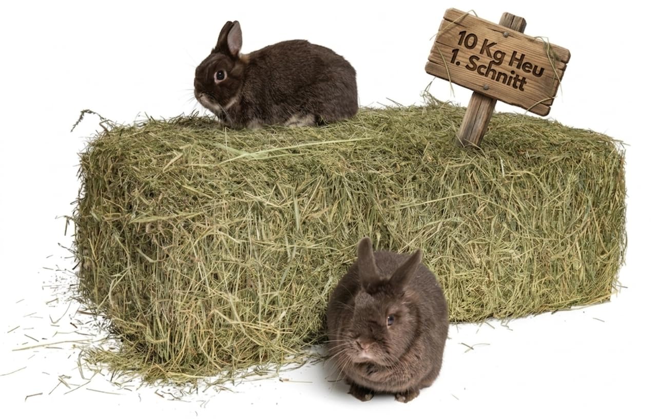 agrar-Store Heu 10kg Heuballen Wiesenheu 1.Schnitt Kaninchenheu Meerschweinchenheu Stroh frisch & unbehandelt, Ernte 2025