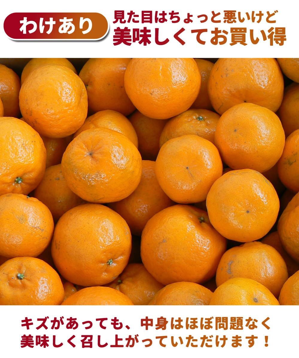 Amazon.co.jp: [ 池田鹿蔵農園 ] 有田みかん ポンカン 【 とろける完熟