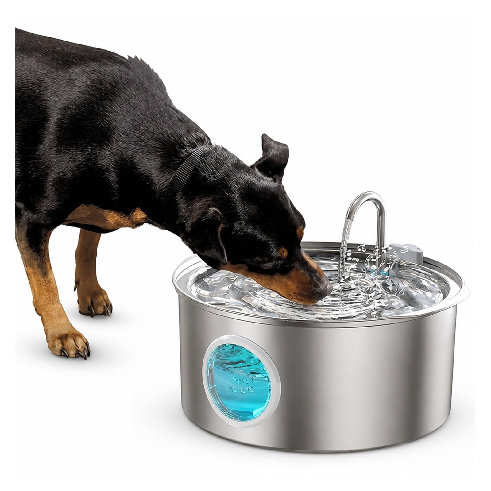 Fontanella per animali domestici, Fontana per animali domestici in acciaio inossidabile 304 da 7 litri